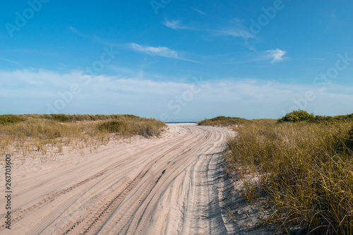 Sandy path leading toward the Atlantic Ocean  beneath a beautiful clear blue sky  Fire Island  NY