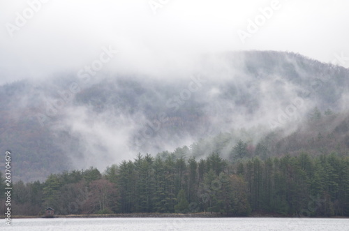 Pine Trees and Mountains in Low Clouds and Fog