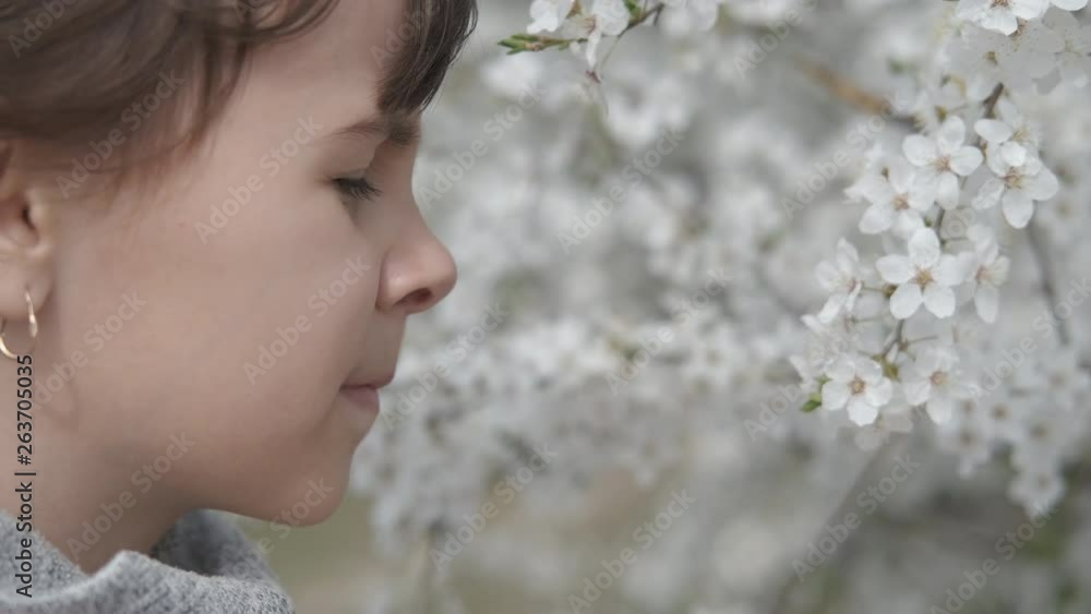 Allergy. Pollen allergy. A little girl smells a flowering tree and wipes her nose with a handkerchief. Allergy. Pollen allergy. A little girl smells a flowering tree and wipes her nose with a handkerchief.