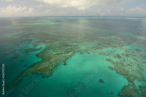 Great Barrier Reef. Port Douglas. Tropical North Queensland. Australia © Bluchiavari