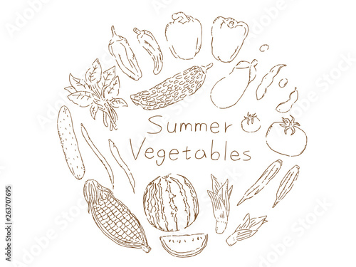 手描き夏野菜セット