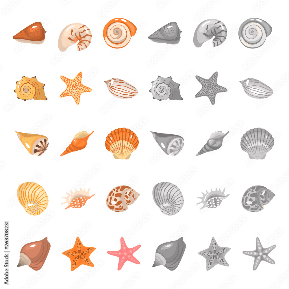 Shells and sea stars color flat and monochrome icons set. Vector concept Shells and sea stars color flat and monochrome icons set. Vector concept