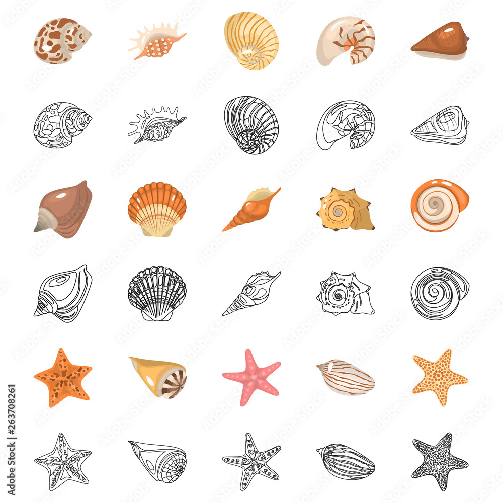Shells and sea stars color flat and line icons set. Vector concept Shells and sea stars color flat and line icons set. Vector concept