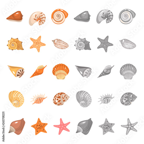 Shells and sea stars color flat and monochrome icons set. Vector concept