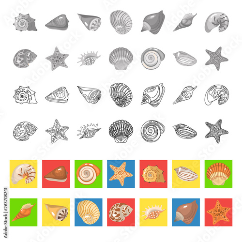 Shells and sea stars color flat, line and monochrome icons set. Vector concept