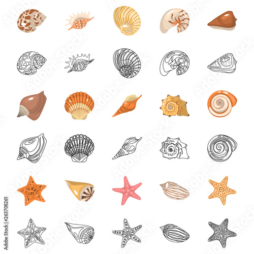 Shells and sea stars color flat and line icons set. Vector concept