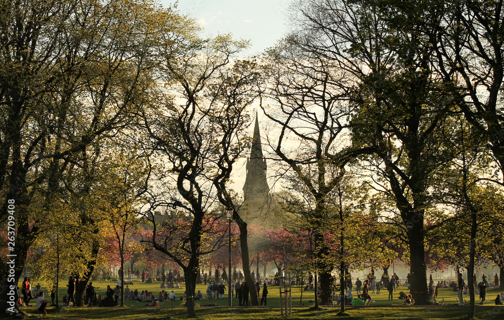 Obraz premium Evening in park