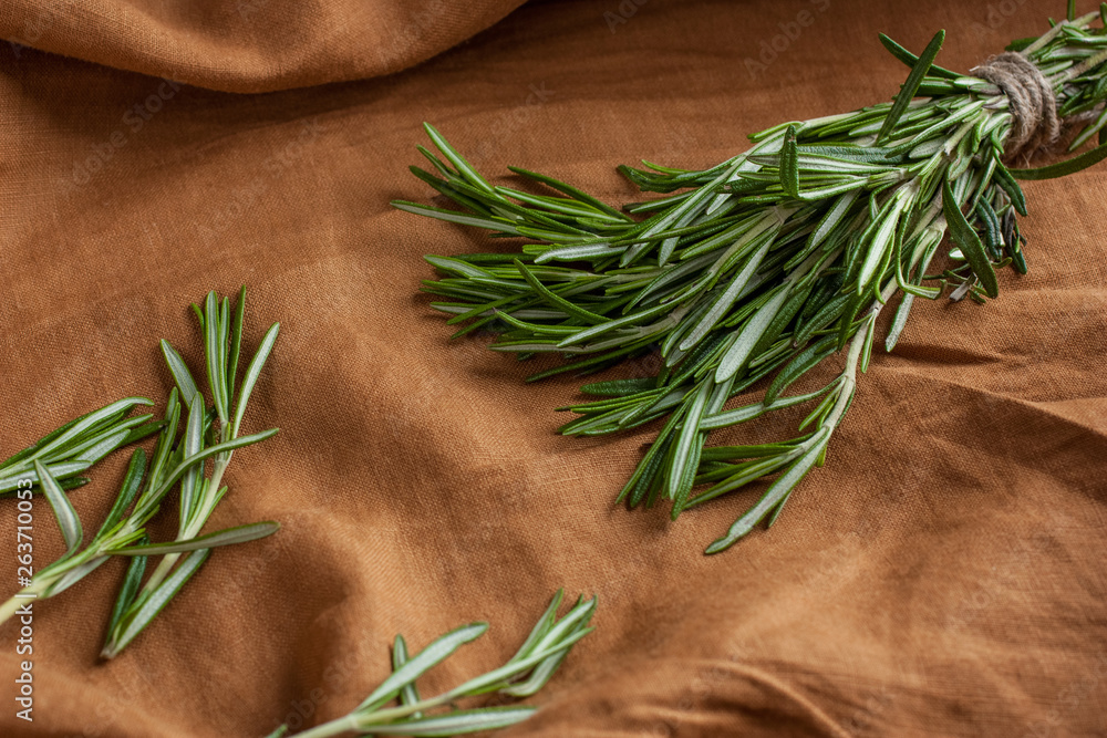 Fresh rosemary herb on orange background. Fresh rosemary herb on orange background.