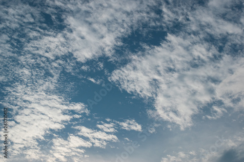 Fototapeta Naklejka Na Ścianę i Meble -  white cloud on clear blue sky