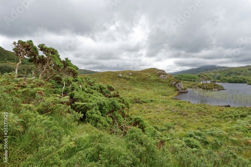 Schottland - Inverpolly-Naturreservat - Glen Canisp photo