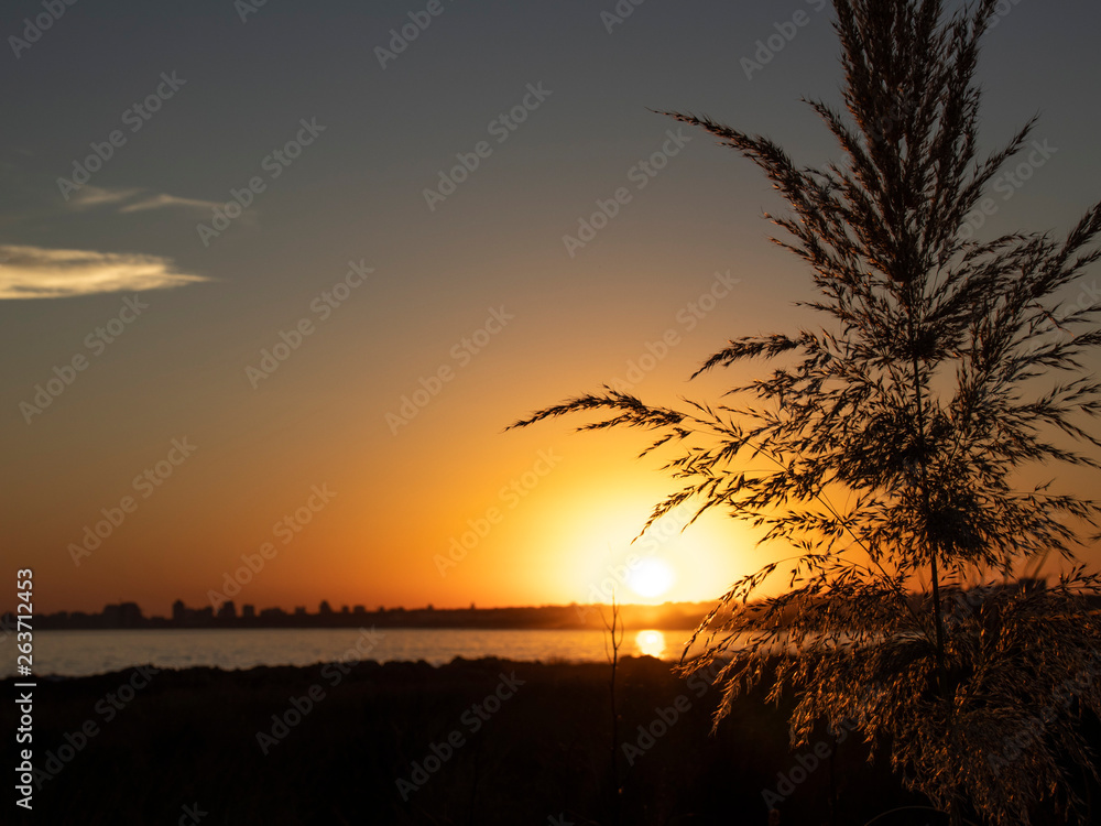 Obraz premium Uruguay