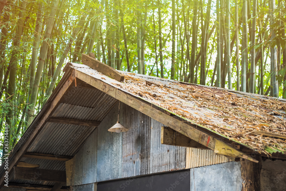 Small house in bamboo forest.Thailand. Small house in bamboo forest.Thailand.