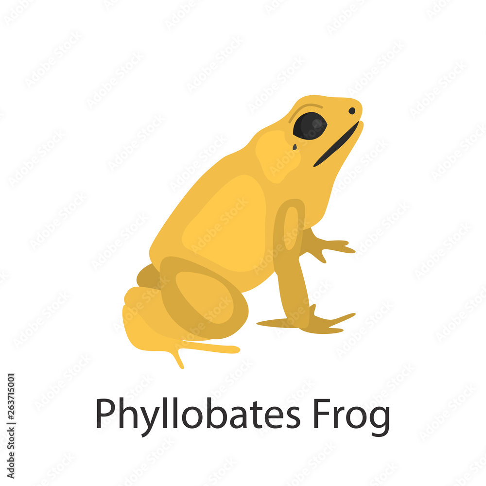 Naklejka premium Phylobates frog color vector icon. Flat design