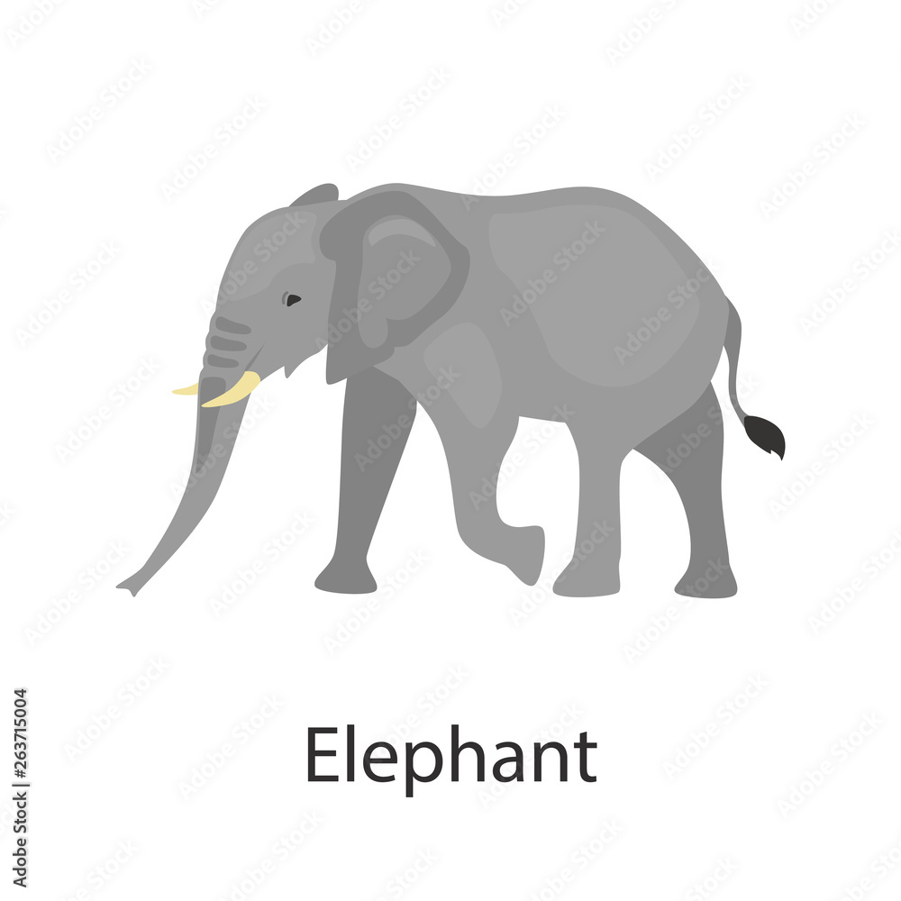 Fototapeta premium Elephant color vector icon. Flat design