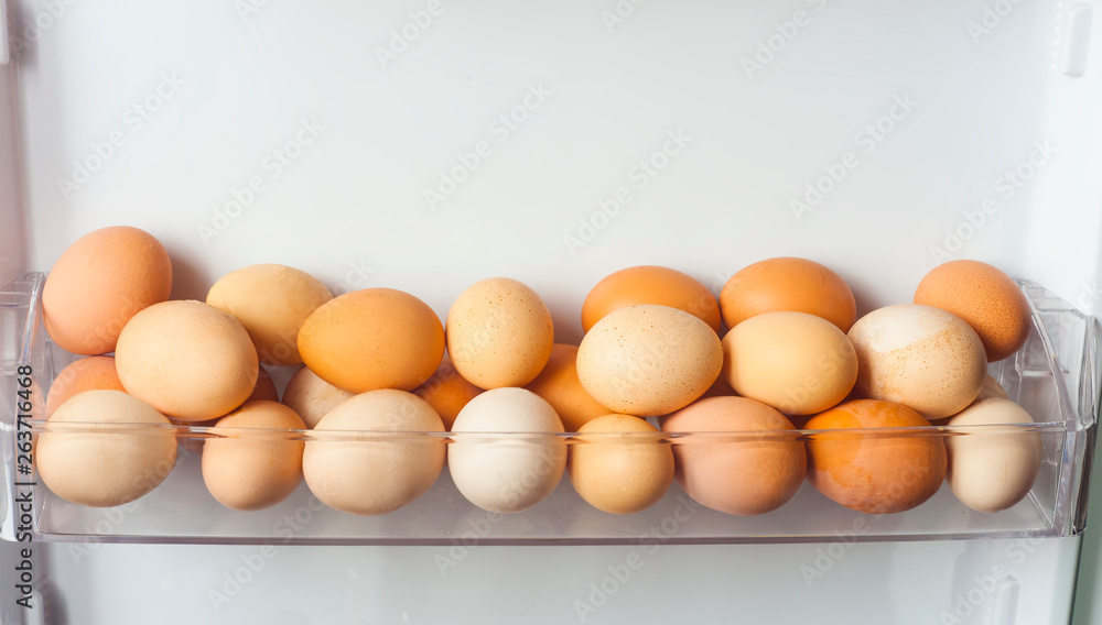 pack of eggs in the refrigerator pack of eggs in the refrigerator