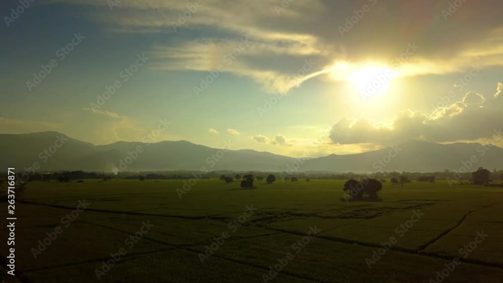 Aerial view, flying over paddy field with colorful dramatic sky during beautiful sundown. Flight over cornfield. Agricultural concept with nature. Aerial view, flying over paddy field with colorful dramatic sky during beautiful sundown. Flight over cornfield. Agricultural concept with nature.