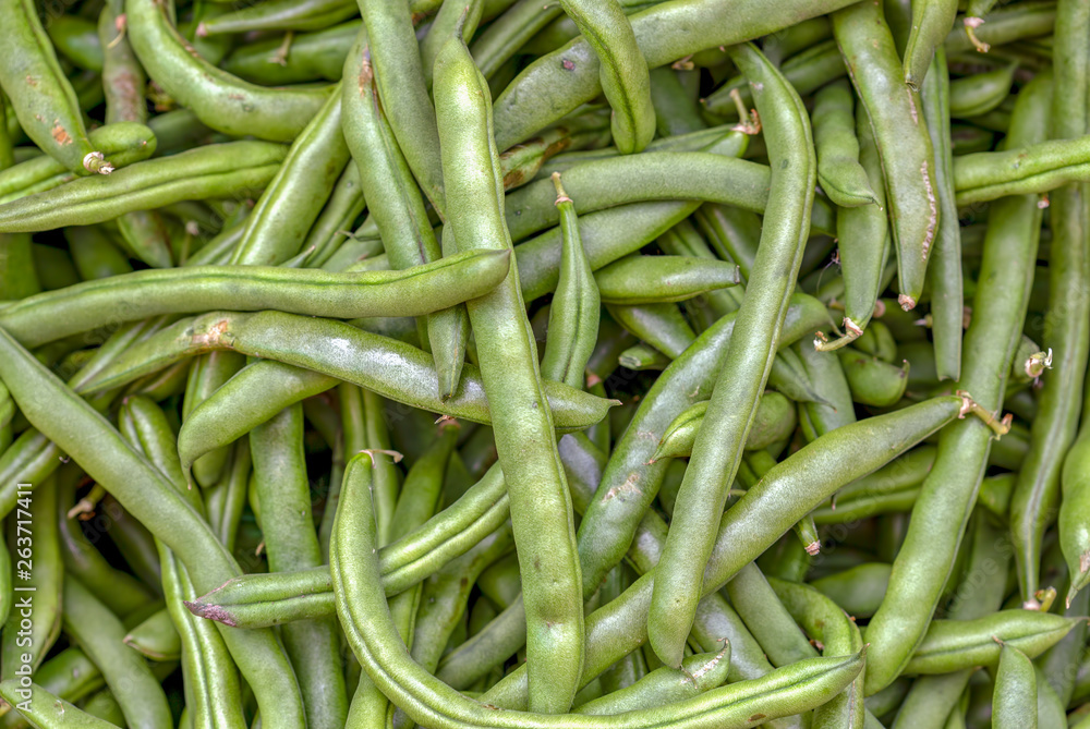 A bunch of green beans. Photographed at the local traditional market of the colonial town of Villa de Leyva in the Andean mountains of central Colombia. A bunch of green beans. Photographed at the local traditional market of the colonial town of Villa de Leyva in the Andean mountains of central Colombia.