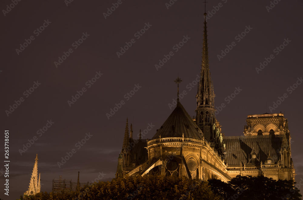 Notre Dame lit up at night