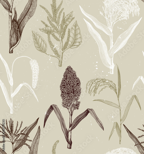Hand drawn cereal crops background. Gluten free plants seamless pattern. Vector vegetables drawing in engraved style. High detailed vegetarian food objects. Great for packaging, menu, label.