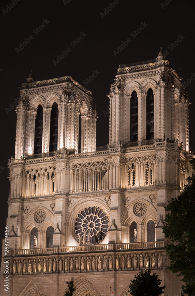 Fototapeta premium Notre Dame lit up at night