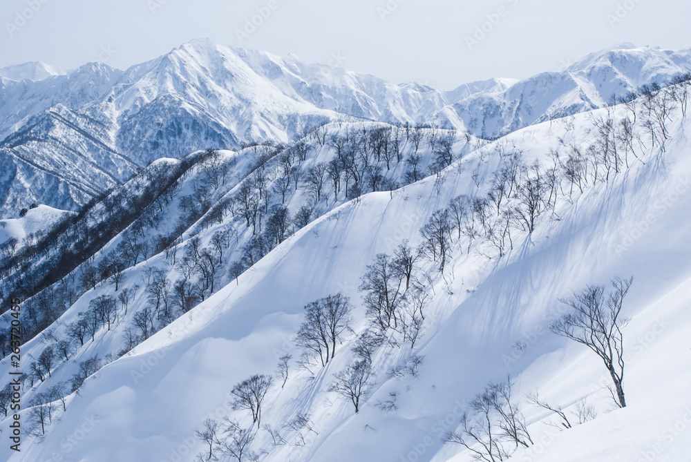 Mountain of Joetsu from Mt.Takamatagi, - 新潟県谷川連峰・タカマタギ山から望む上越の冬山