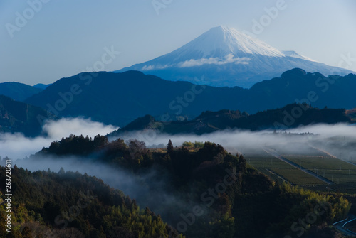 Mt.Fuji and Tea fields. - 静岡市・吉原から望む富士山と茶畑