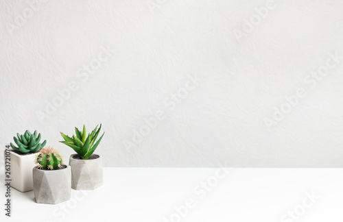 Small cacti plants in pots on table over grey wall