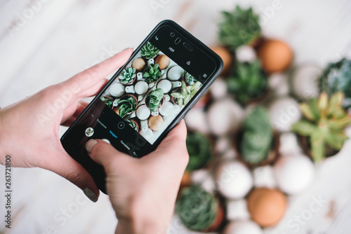 Woman's hand holding the mobile phone and taking pictures of flowers.