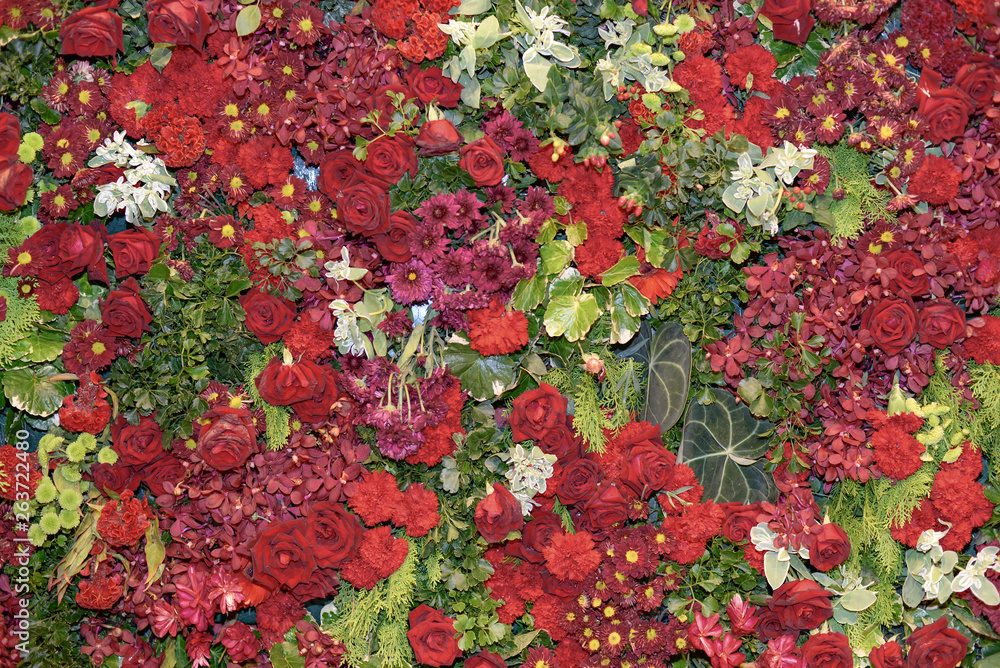 background of red flowers