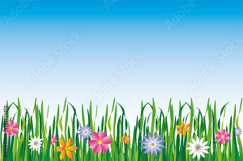 background of grass in different shades of green, blue sky and various flowers