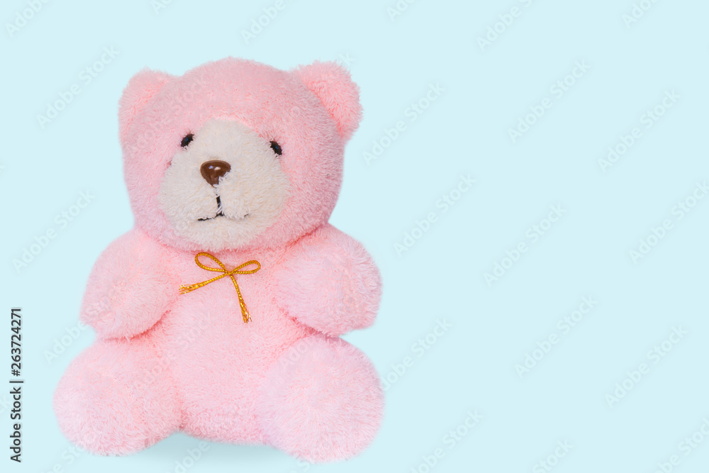 Obraz premium Soft pink teddy bear on the ground.