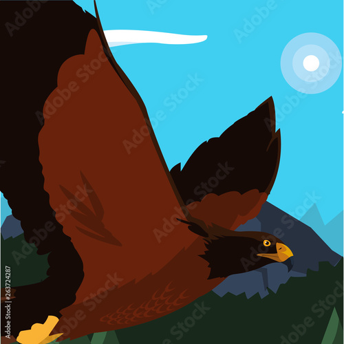 beautiful eagle flying in the landscape majestic bird photo