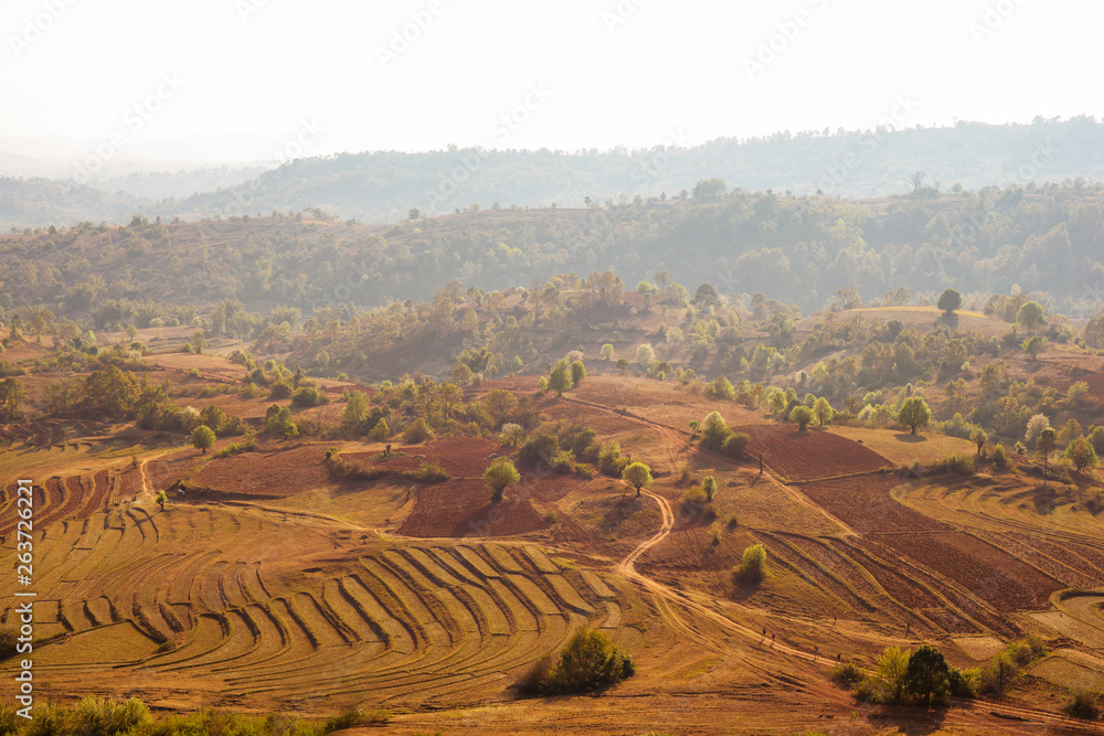 Fototapeta premium landscape