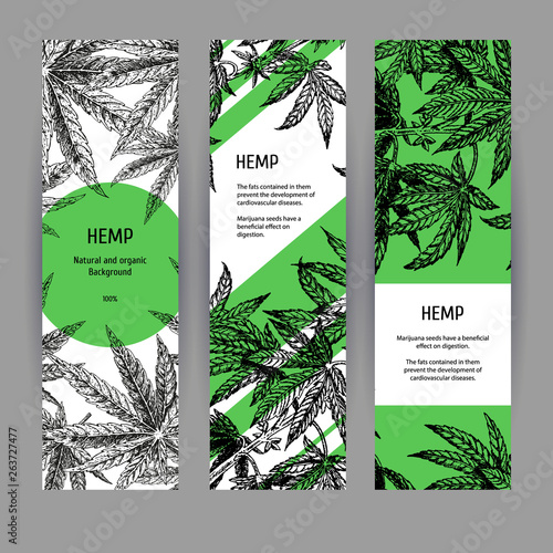 Banners with hemp leaves. Black-white design with marijuana. Vector illustration photo