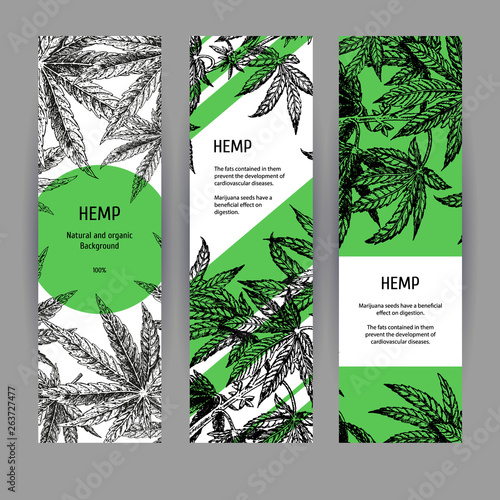 Banners with hemp leaves. Black-white design with marijuana. Vector illustration
