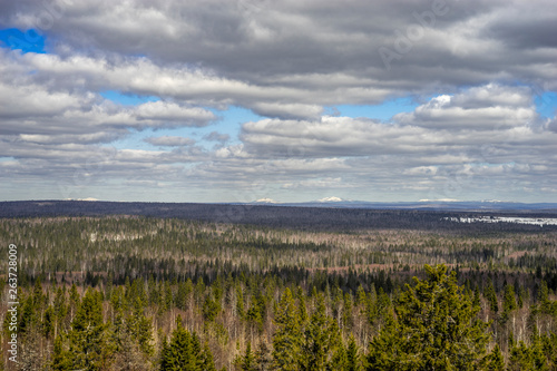  View of the endless Ural taiga