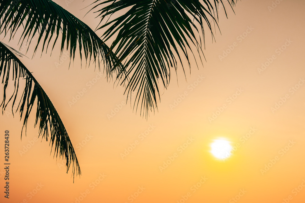 Beautiful outdoor nature with coconut leaf with sunrise or sunset time