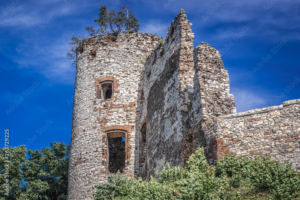 Tower of Tenczyn Castle in Rudno village, one of the chain of 25 medieval castles called Eagles Nests Trail