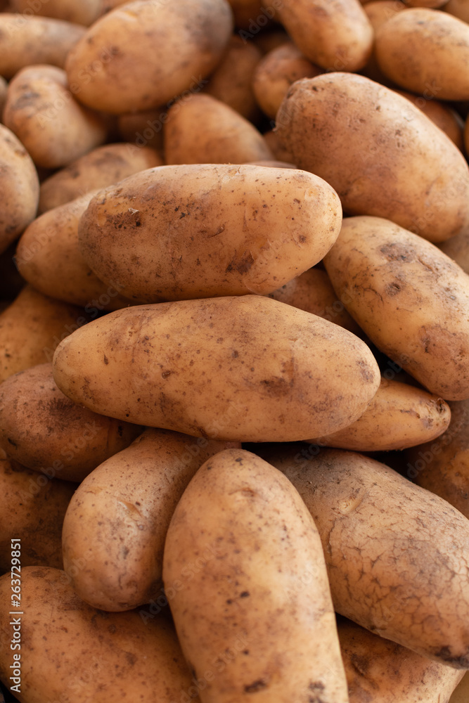 Potatoes on market, new harvest of potatoes vegetables close up Potatoes on market, new harvest of potatoes vegetables close up