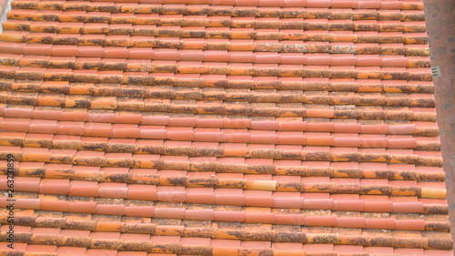 16733_The_red_roof_shingles_of_a_house_in_Palermo_Sicily_Italy.jpg