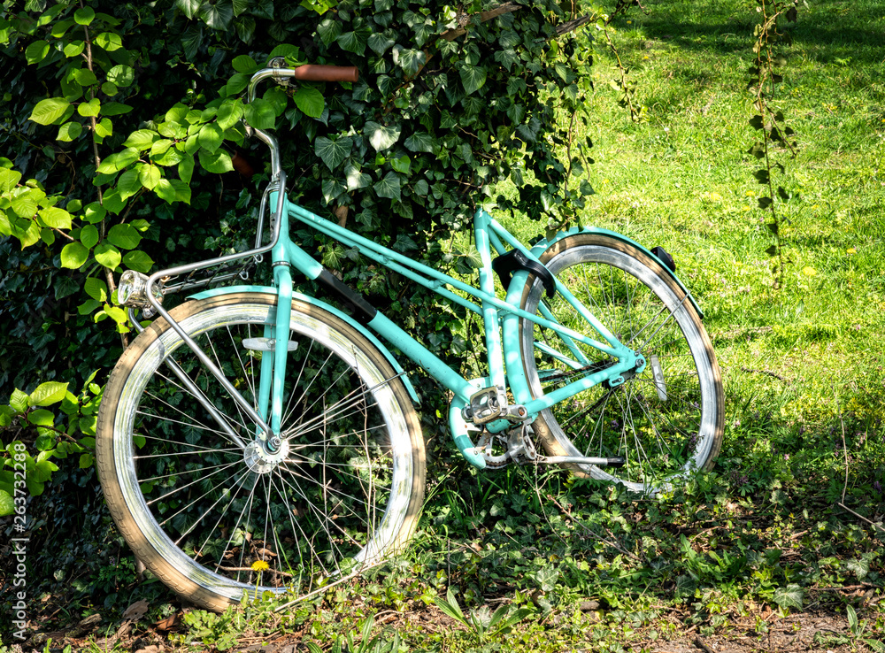 Stolen bicycle in a park hided under a tree