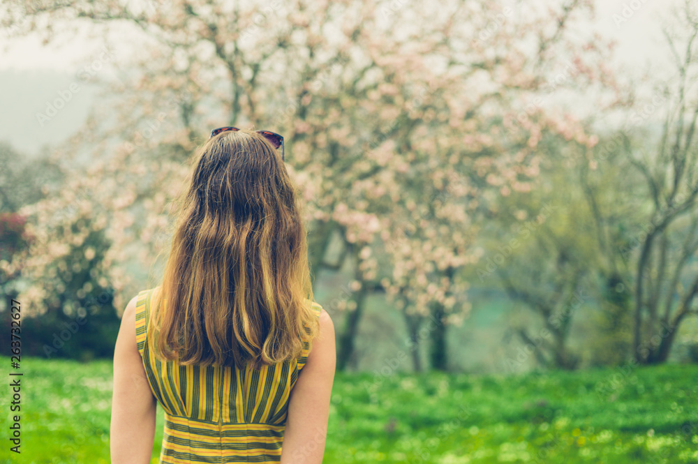Young woman looking at cherry blossom Young woman looking at cherry blossom
