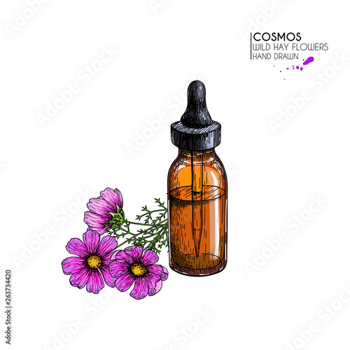Hand drawn set of essential oils. Vector cosmos flower. Medicinal herb with glass dropper bottle. Engraved colored art. Good for cosmetics, medicine, aromatherapy, package design healthhcare.