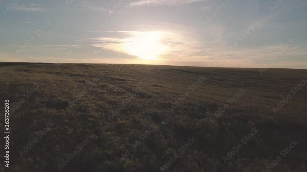 Moving drone view of endless green fields Moving drone view of endless green fields