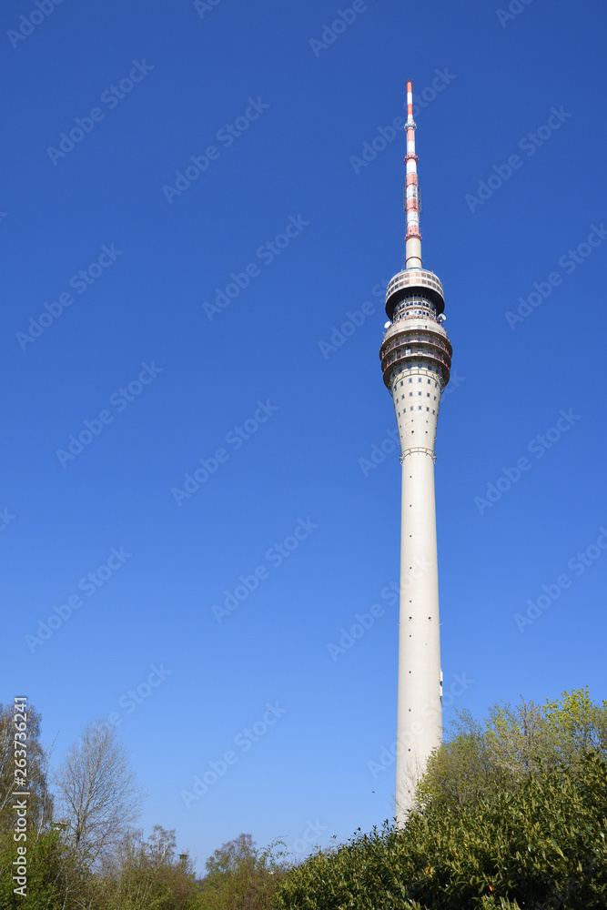 Naklejka premium Blick zum Fernsehturm in Dresden