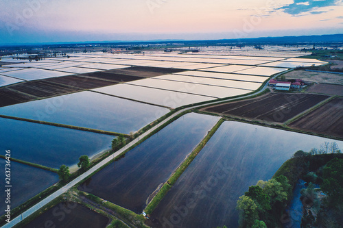 Foto Rice field, aerial view of sunset in Vercelli