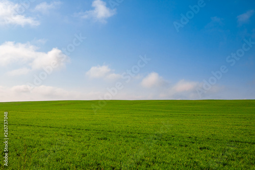 Beatiful morning green field with blue sky and clouds