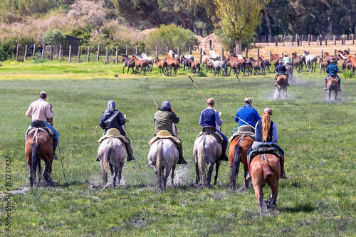 Keepers of breeding mares in El Rocio wetlands,  guiding horses and mares to be baptized © Alfredo