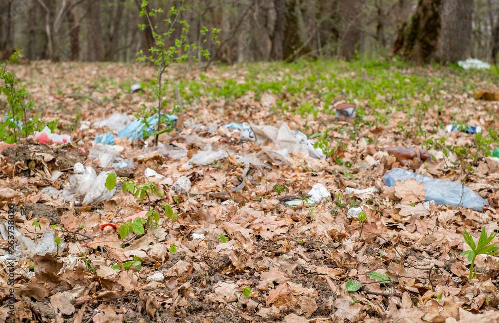 garbage in the forest among the spring shrubs garbage in the forest among the spring shrubs