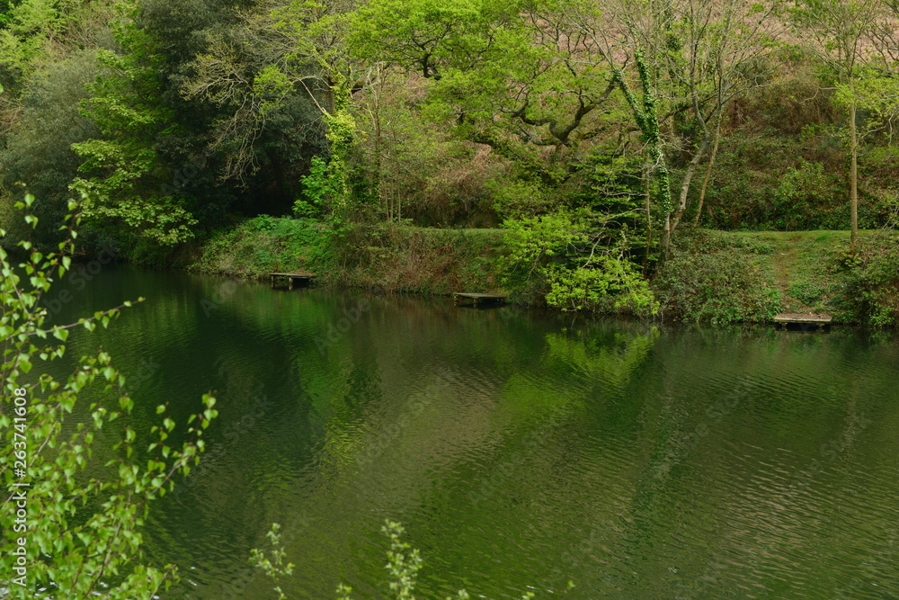 Angling lake, Jersey, U.K. Spring calm landscape. Angling lake, Jersey, U.K. Spring calm landscape.